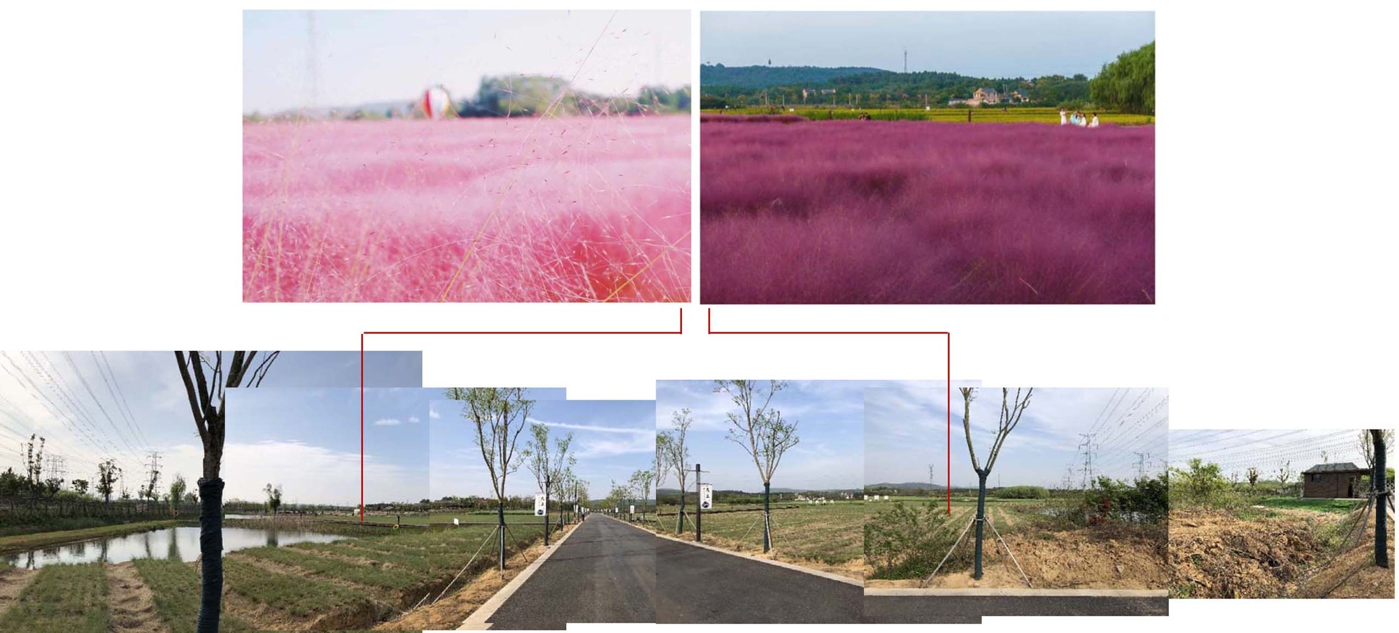 Wu·iang 自然学校服务中心丨中国南京丨Han Xiaofeng 设计工作室-55