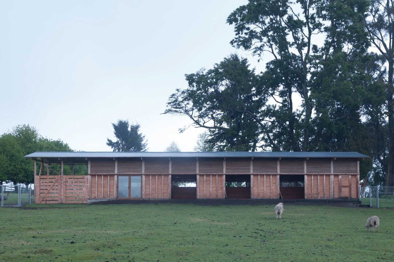 鸡舍丨土耳其埃尔津詹丨SO? Architecture and Ideas-84