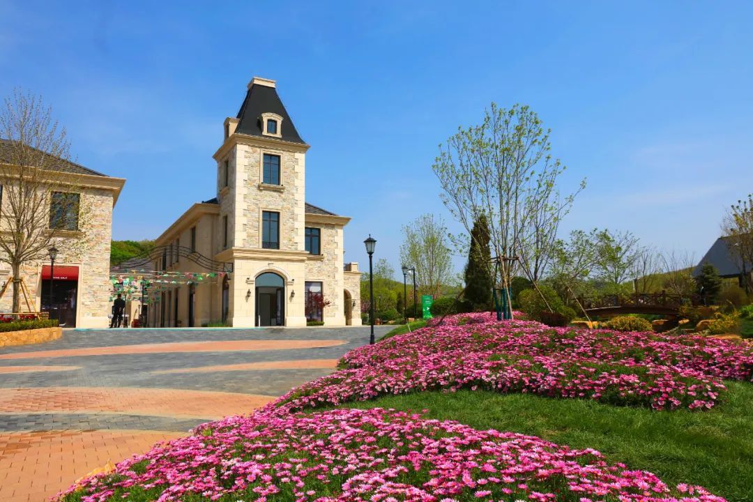 大连绿城玫瑰园葡萄酒小镇丨中国大连-4