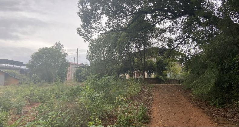 南昌安义县上岗村乡村振兴示范村丨中国南昌丨上海悉迅景观设计咨询事务所-75