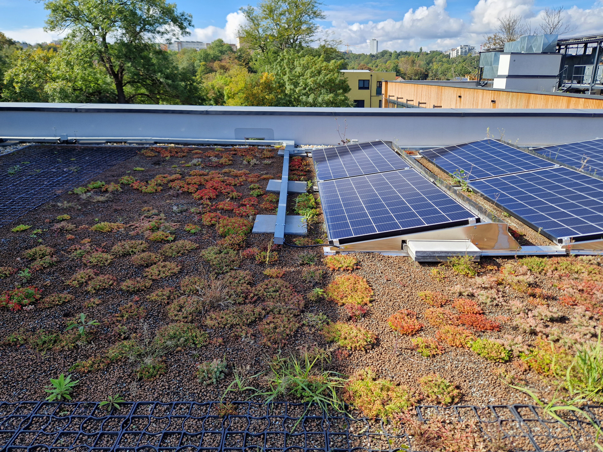 布拉格赫尔德洛热日什的学校改造项目丨ECOTEN-61