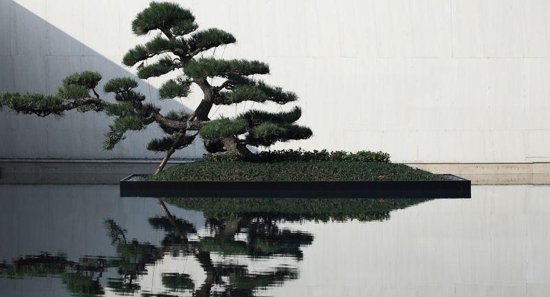 银丰玖玺城售楼处丨中国济南-17