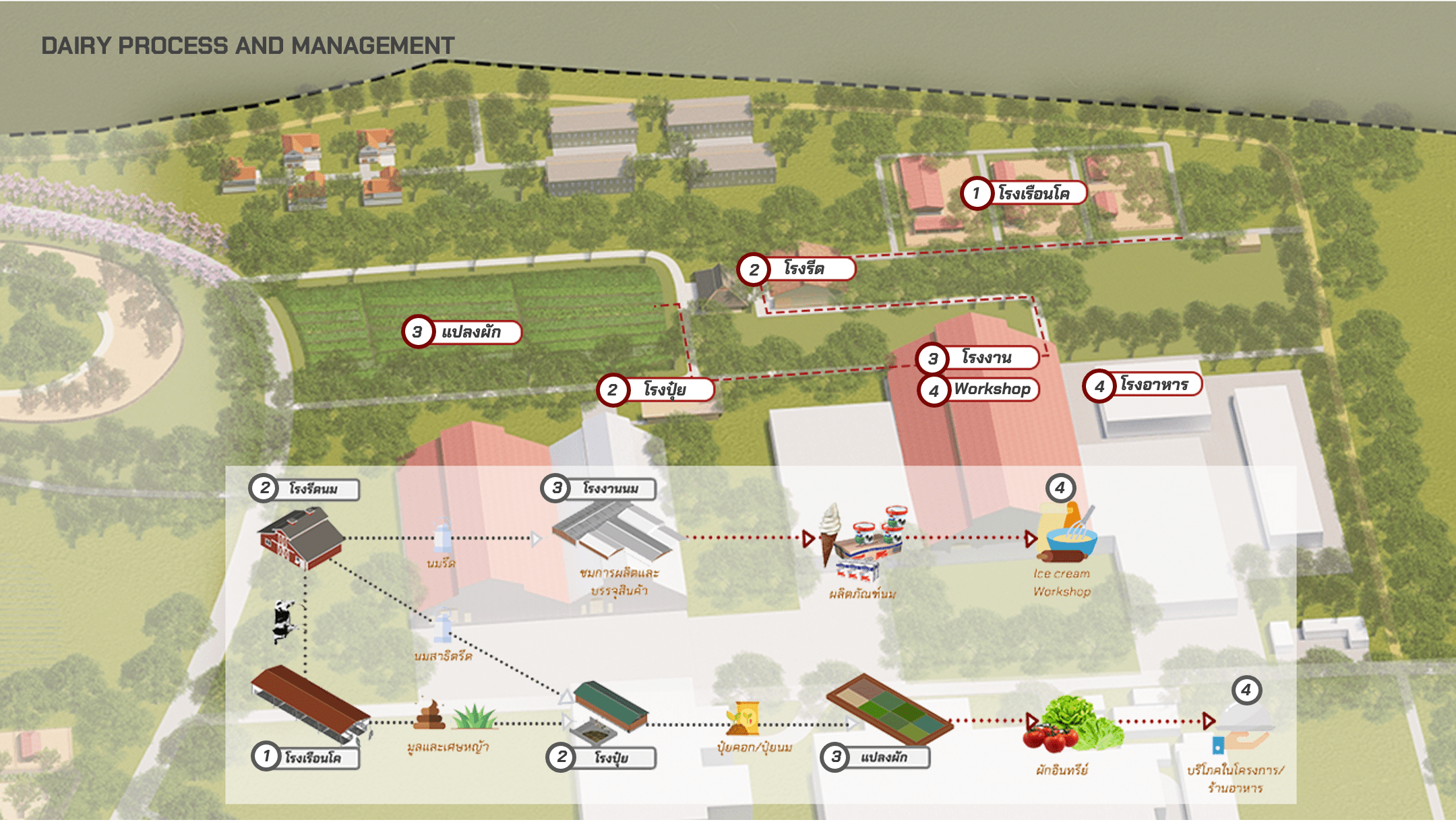 泰国奶牛养殖推广组织学习中心规划与开发项目-42