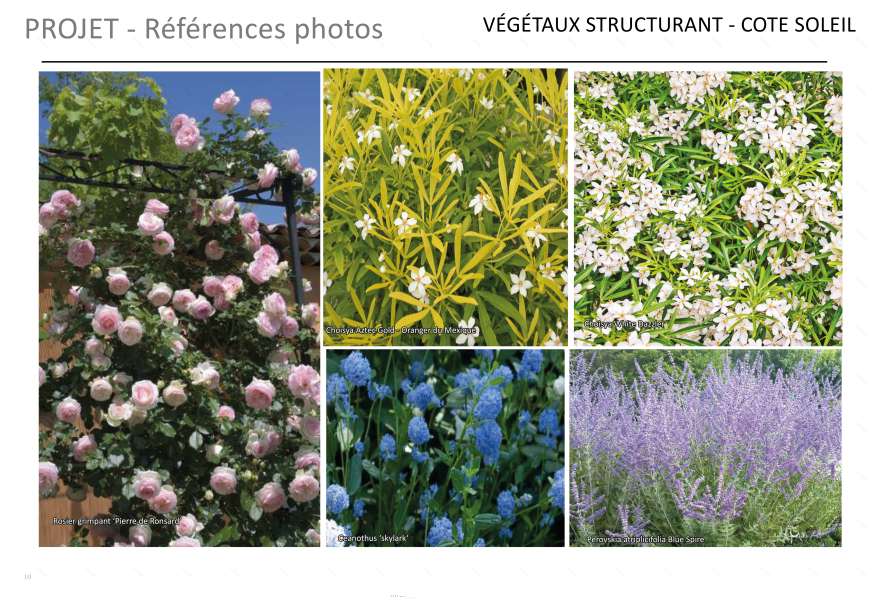 Neuilly Sur Seine某公寓入口景观设计项目-16