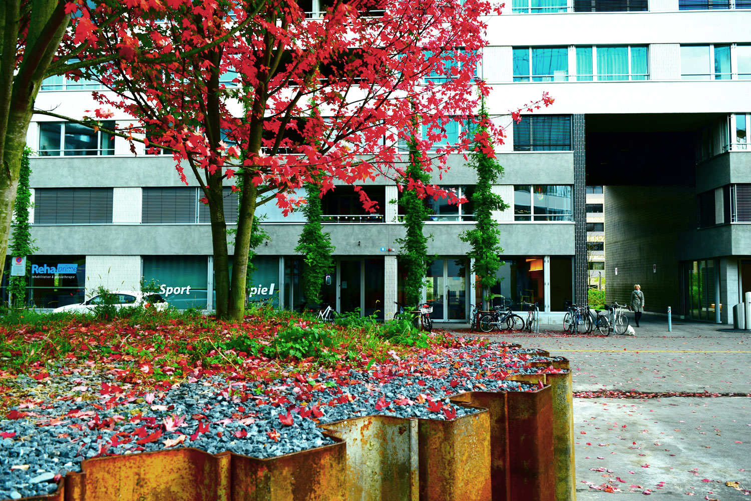 苏黎世 Maag 广场的工业风变身-11