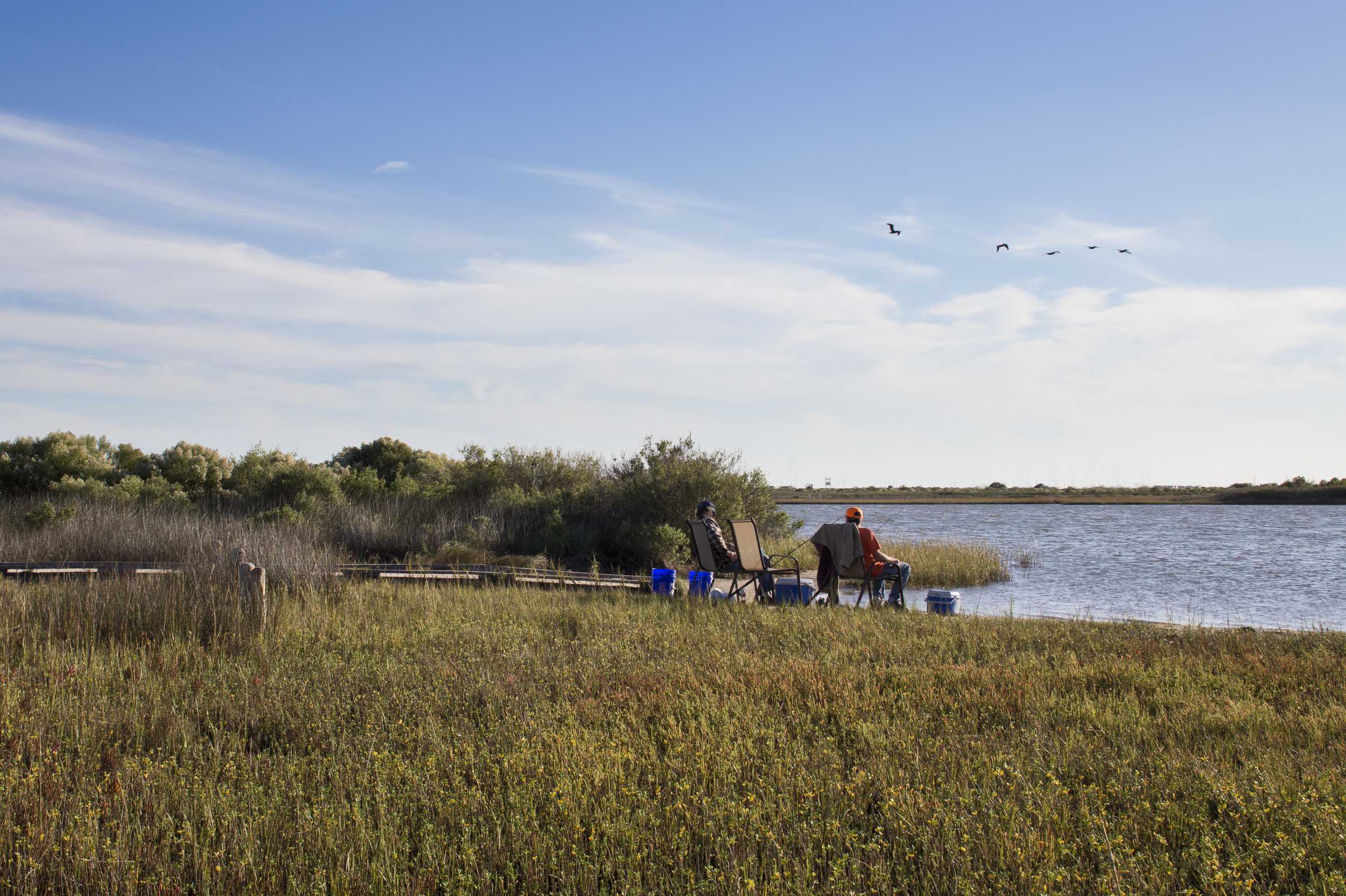 美国加尔维斯敦岛国家生态湿地公园 (asla)Galveston Island State Park-7