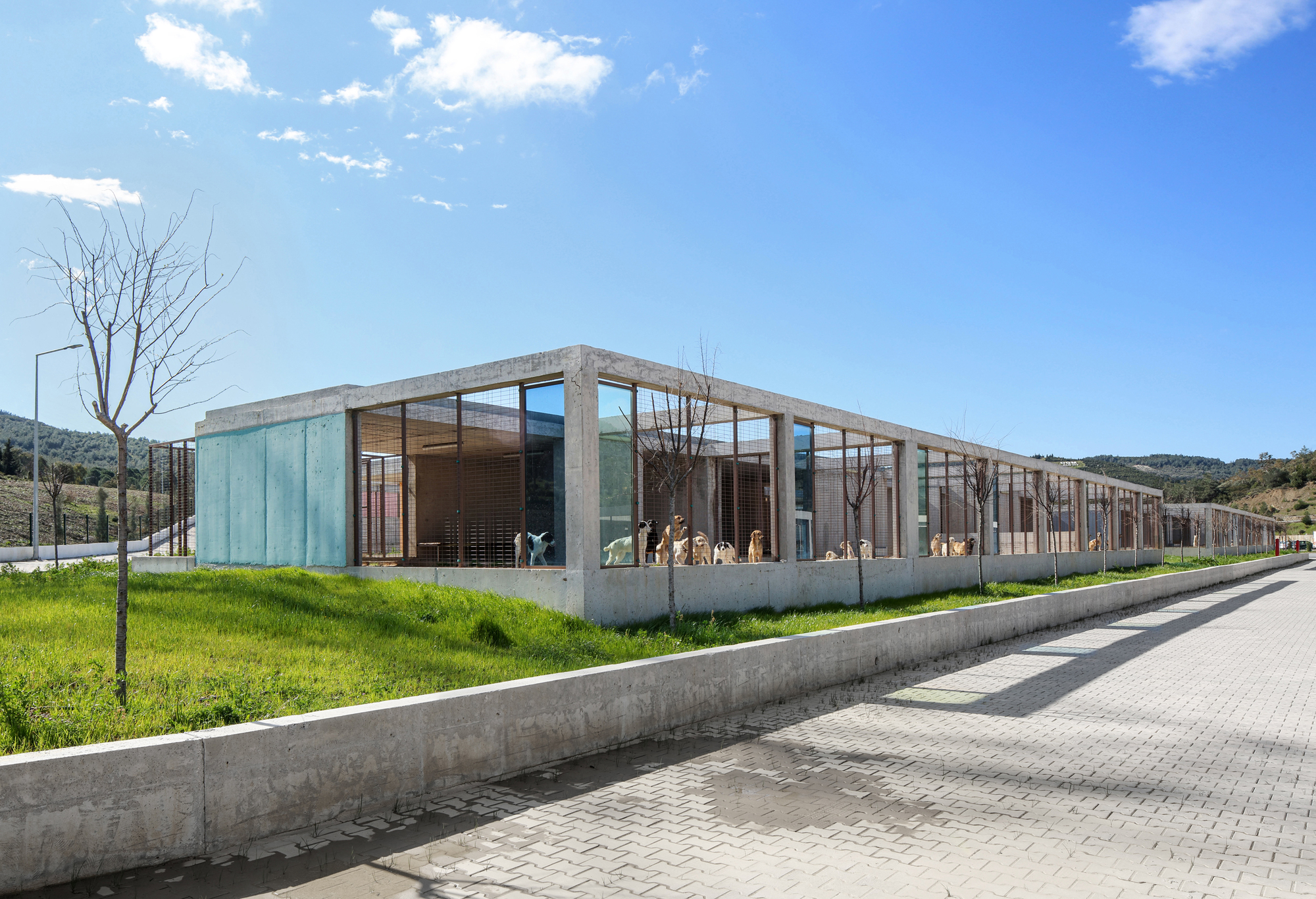 Pako Street Animal Social Life Campus  / Mert Uslu Architecture-33