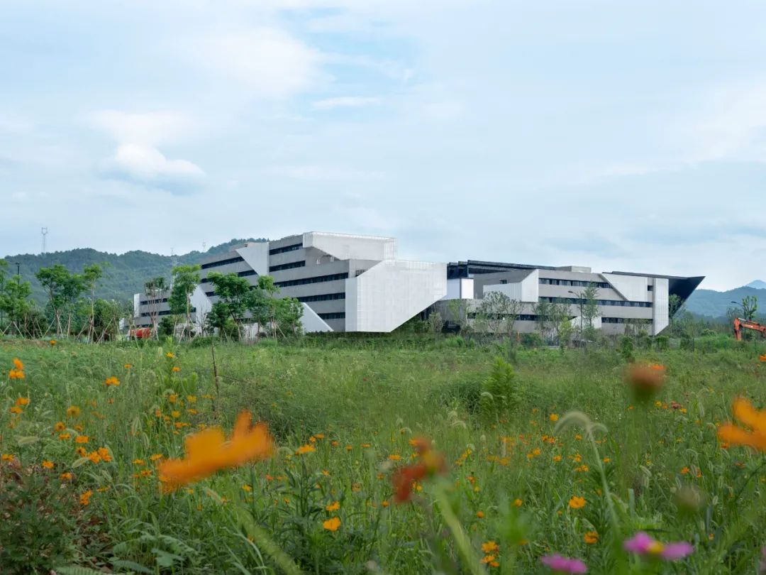 杭州老鹰画室 | 创意筑梦的空间设计-21