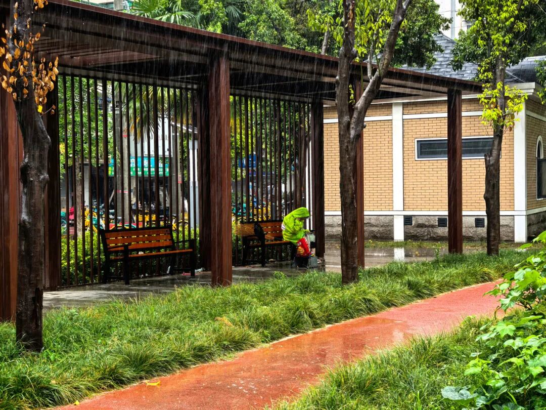 打卡城市“金角银边”丨城市绿地变社区康养公园，“藏”在红牌楼北街的“自然森林花园”-9