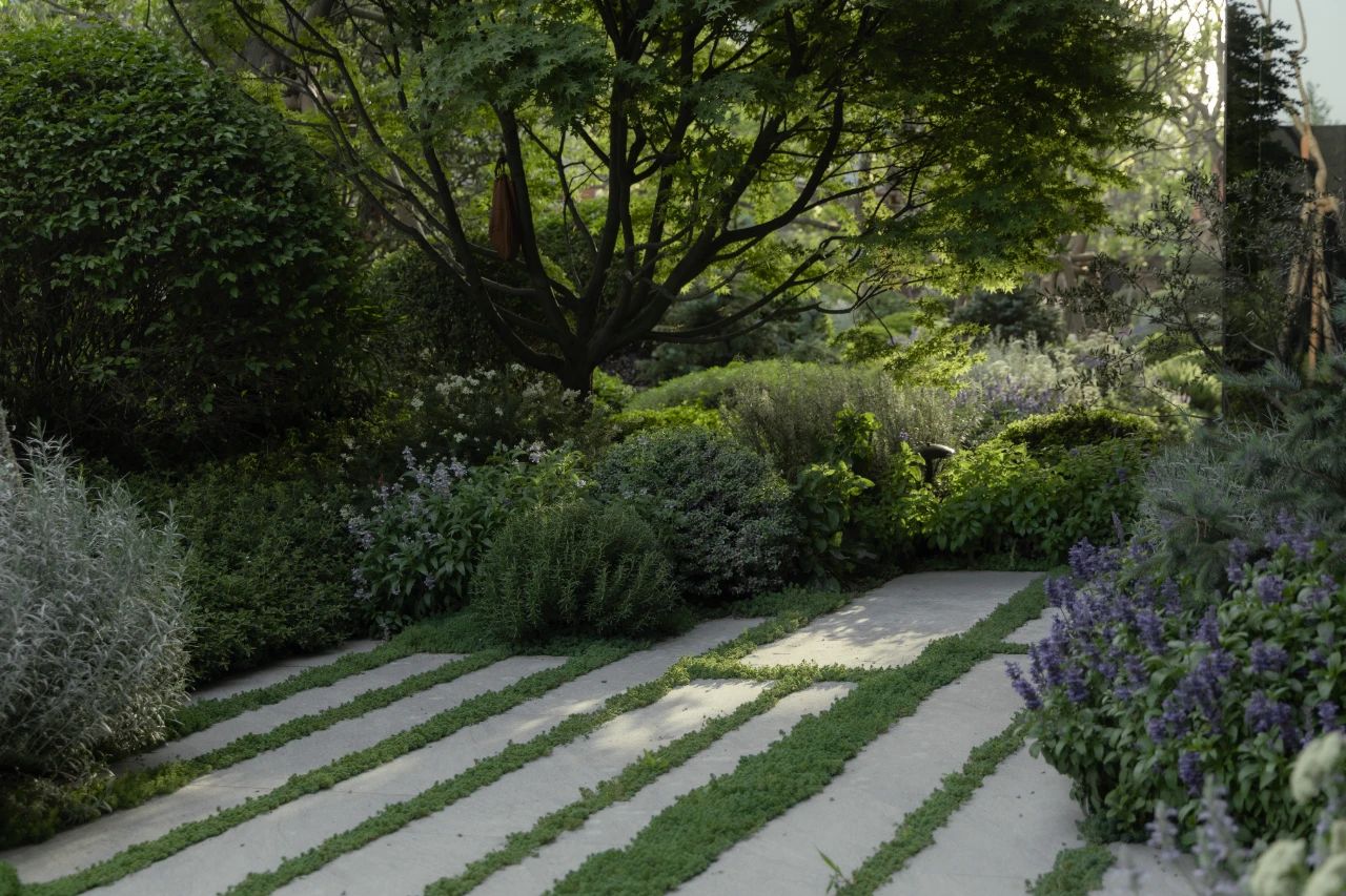 中海锦叁号院:风景中的日常丨TOPSCAPE-68