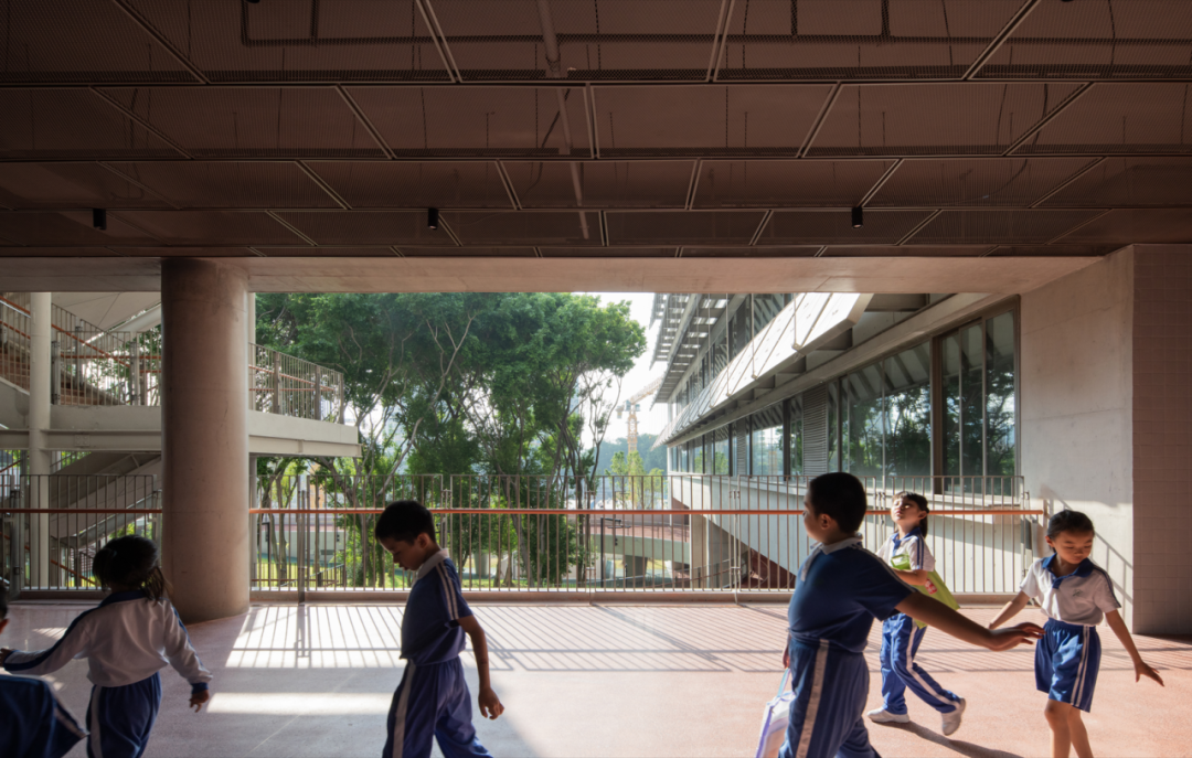 【AT建筑】榕树高台——荔园外国语小学（景田）设计札记（by直向建筑）-103