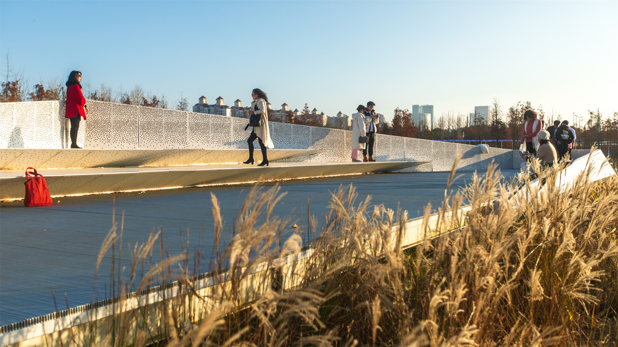 西安雁南公园（二期）丨中国西安丨土人设计（Turenscape）-141