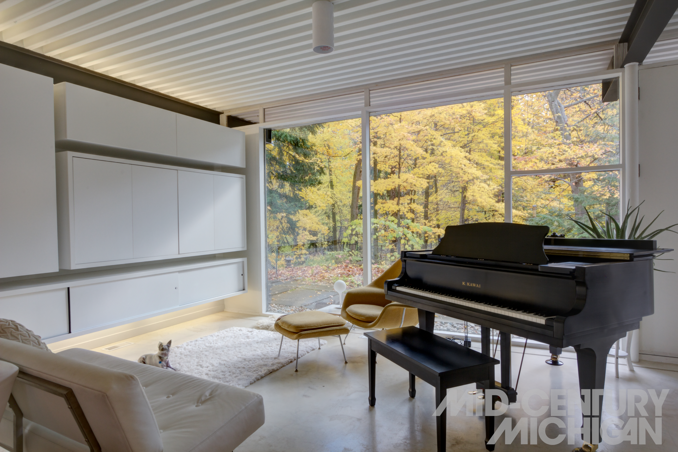 丨美国大急流城-24