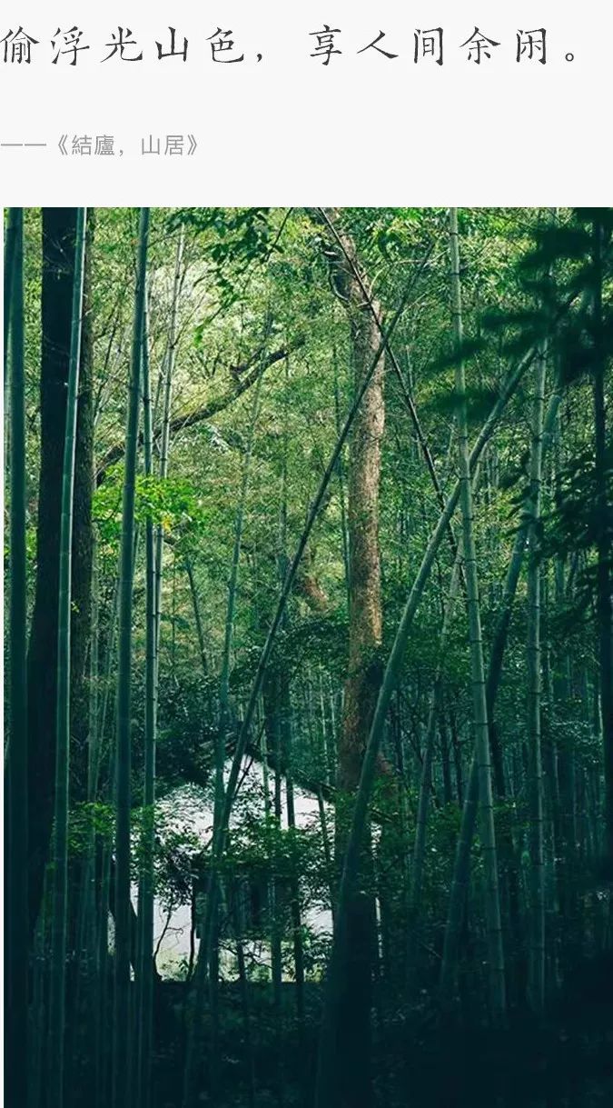 山居艺术 | 云间桃树，泉鸣林深-2