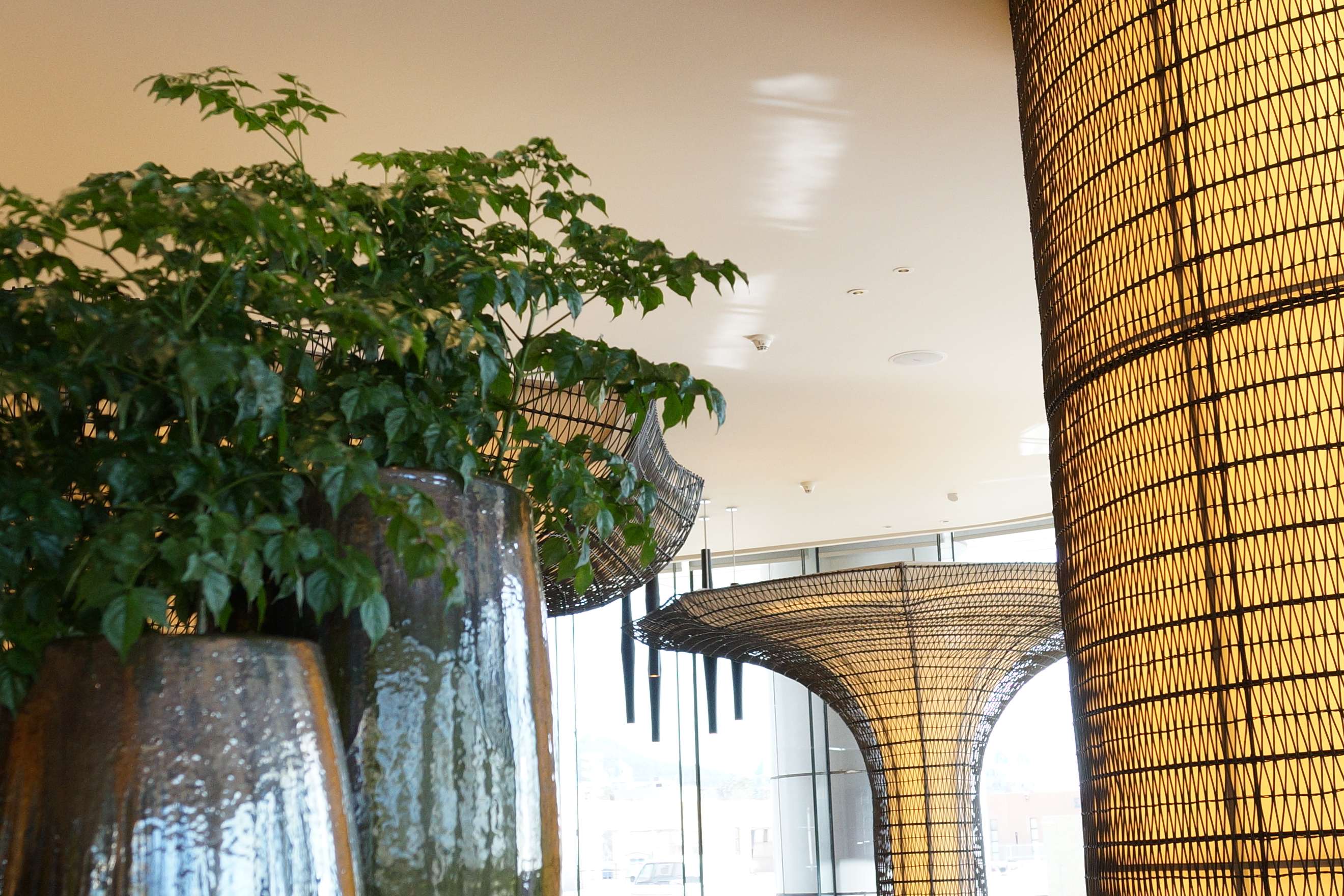 大连君悦越酒店实景-6-38