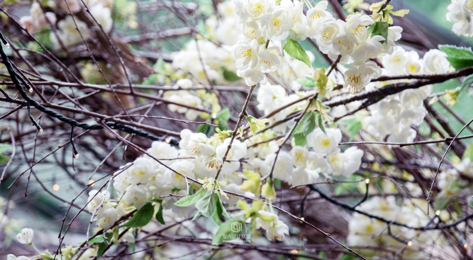 伦敦 Clos Maggiore 法式餐厅-8