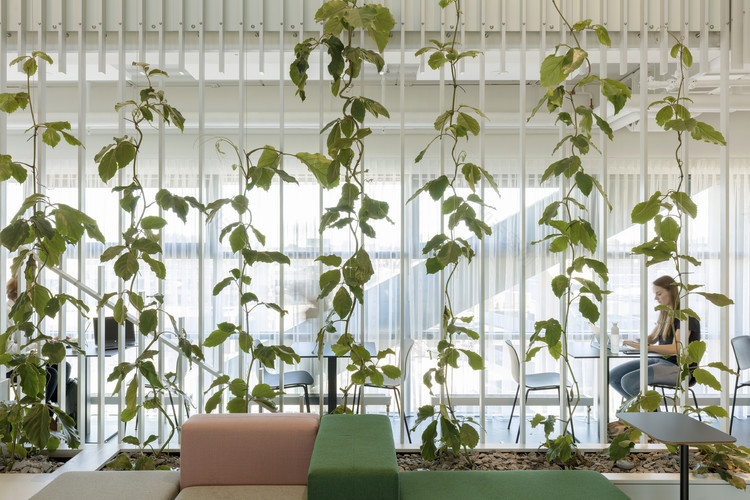 创新办公空间 | 阿尔克马尔市办公室-20