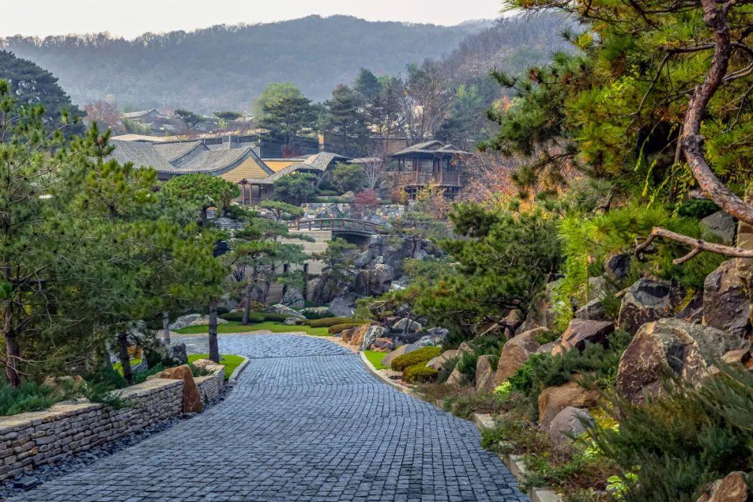 北京悉昙酒店景观设计丨中国北京丨日建设计-15