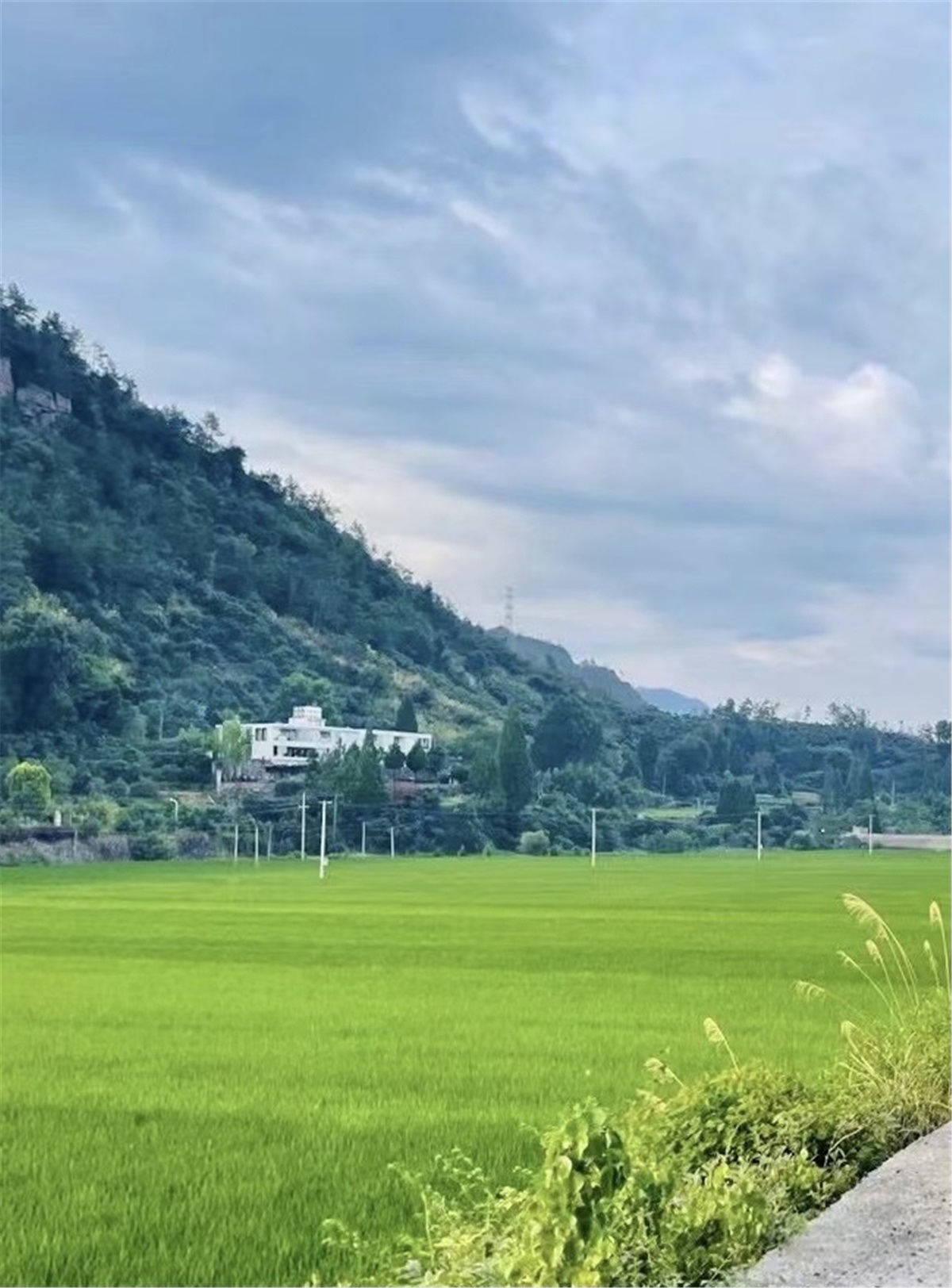 茶溪花语民宿设计丨中国浙江丨杭州品尚文化艺术策划有限公司-26