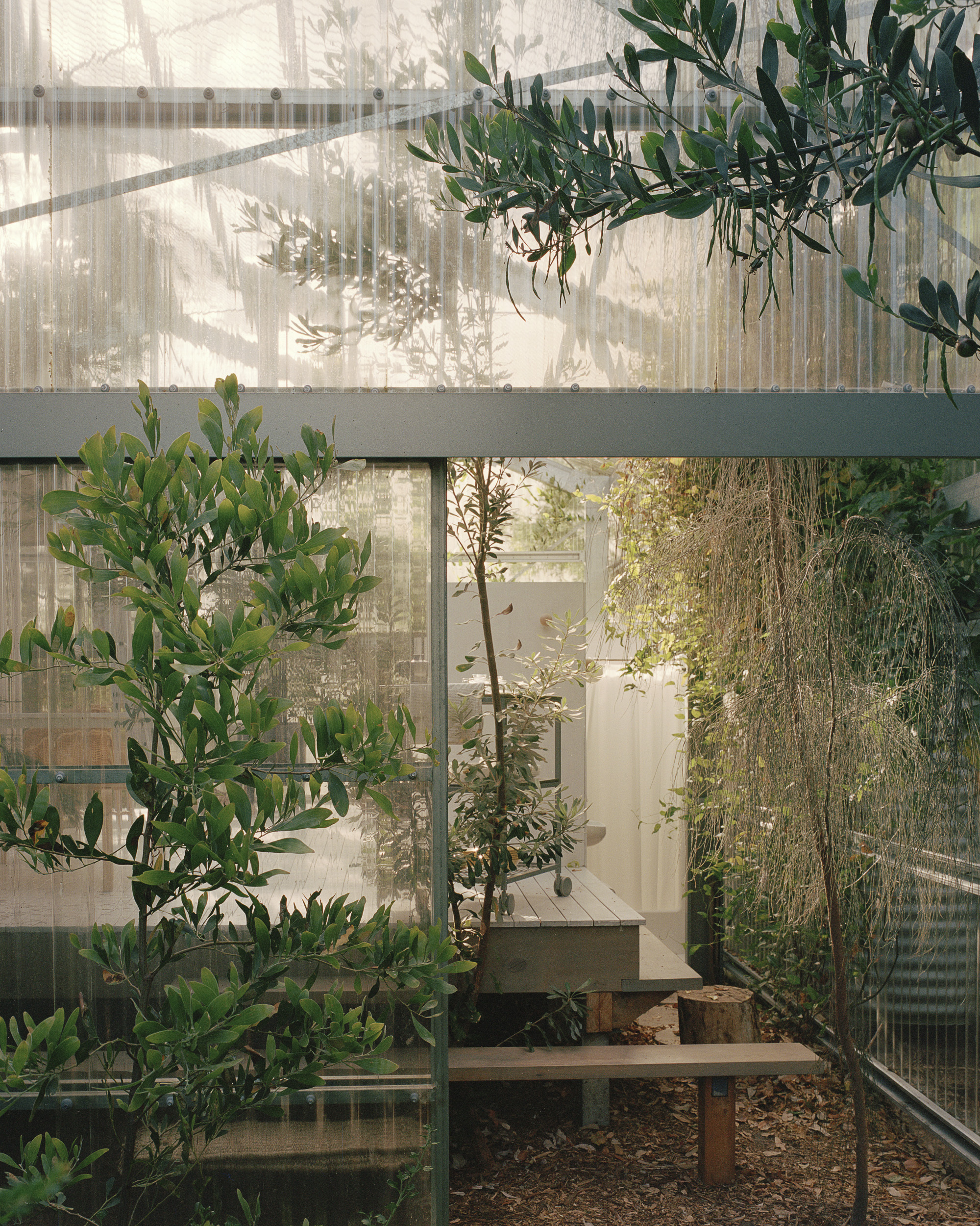 花园住宅丨澳大利亚丨Baracco+Wright Architects-9