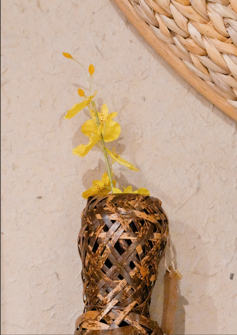 【工作动态】西山茶马花街|南藤云竹博物馆：让竹藤千年技艺在指尖“活”出时代新韵-96