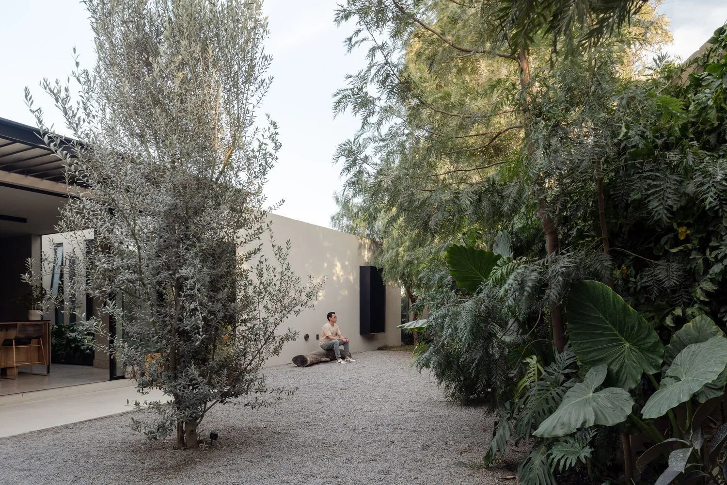 TOME 住宅丨墨西哥-8