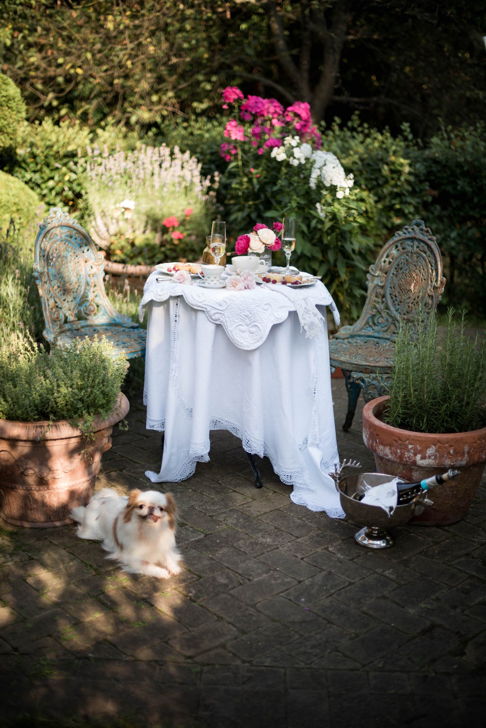 户外早餐服务布置案例（“Под кустом”花园）丨俄罗斯莫斯科丨室内设计师兼艺术史学家 Катя Гулюк-11