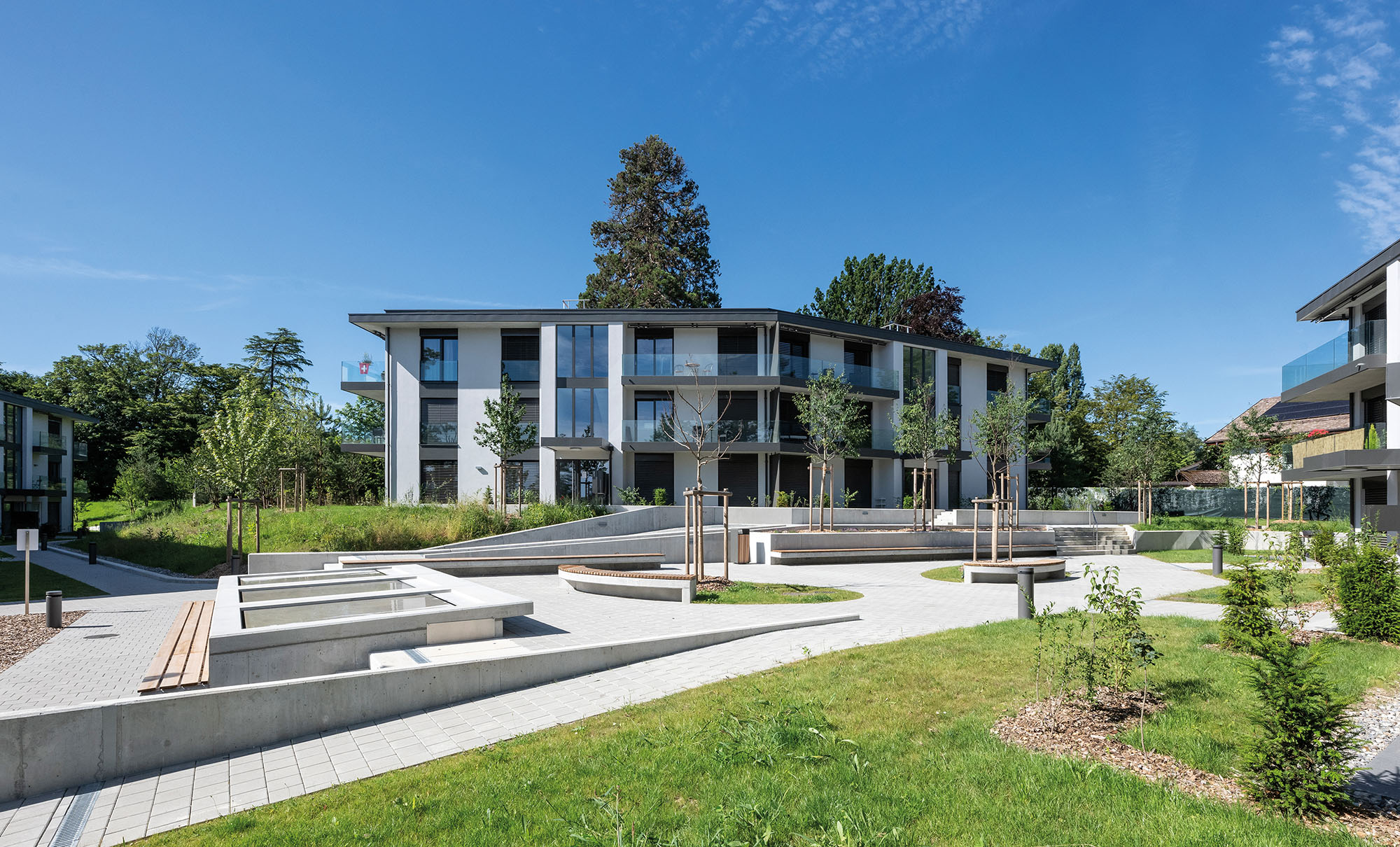 丨文本未提及-6