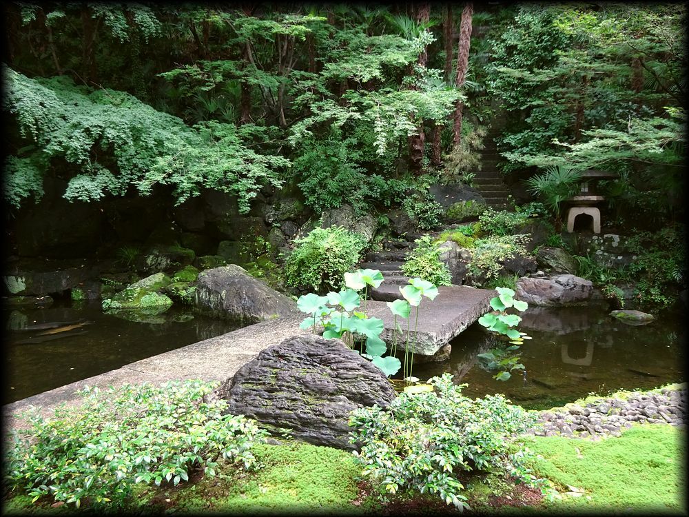 青松寺庭園丨日本京都丨岩城造園-12