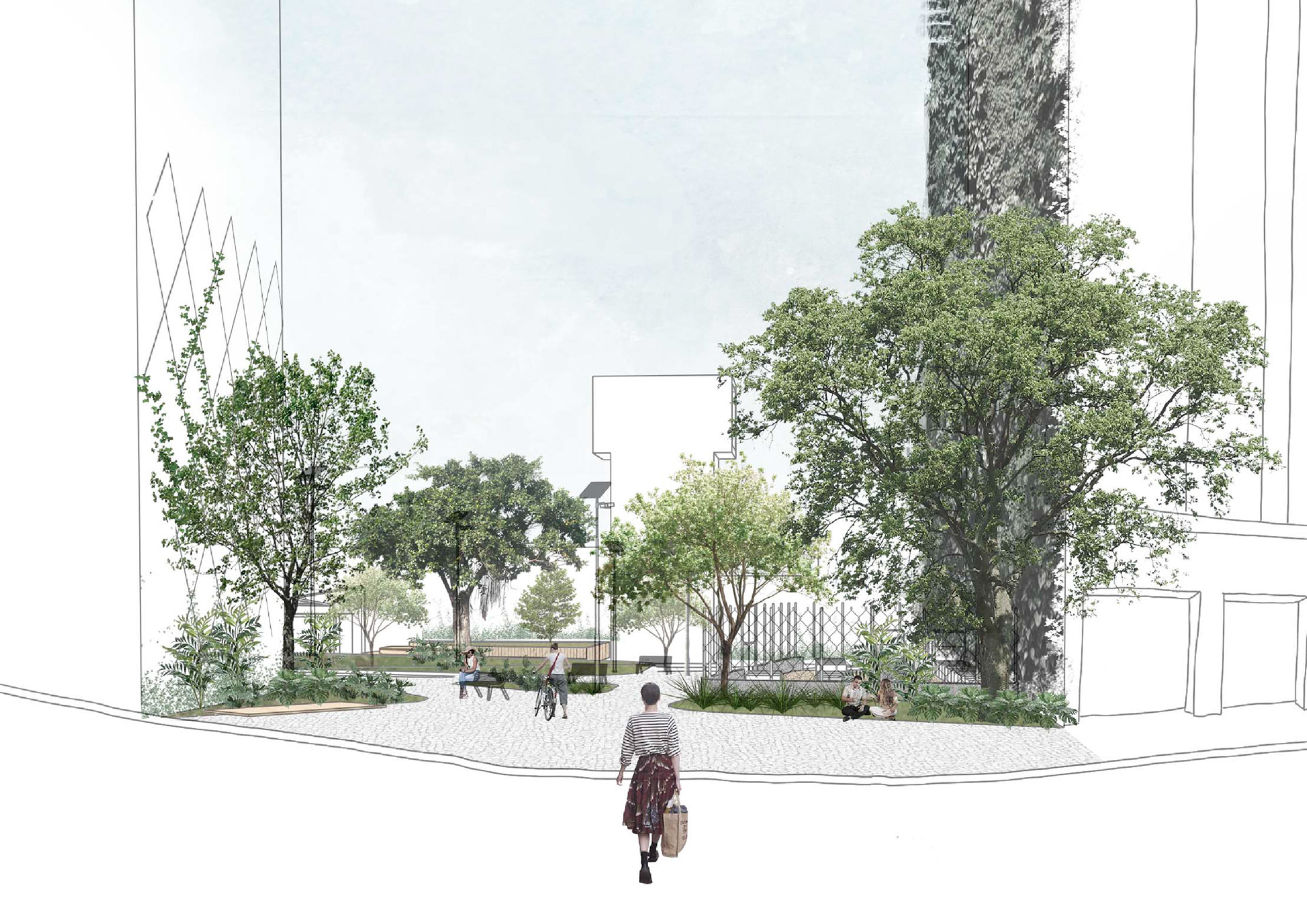 城市生物群丨巴西圣保罗-19