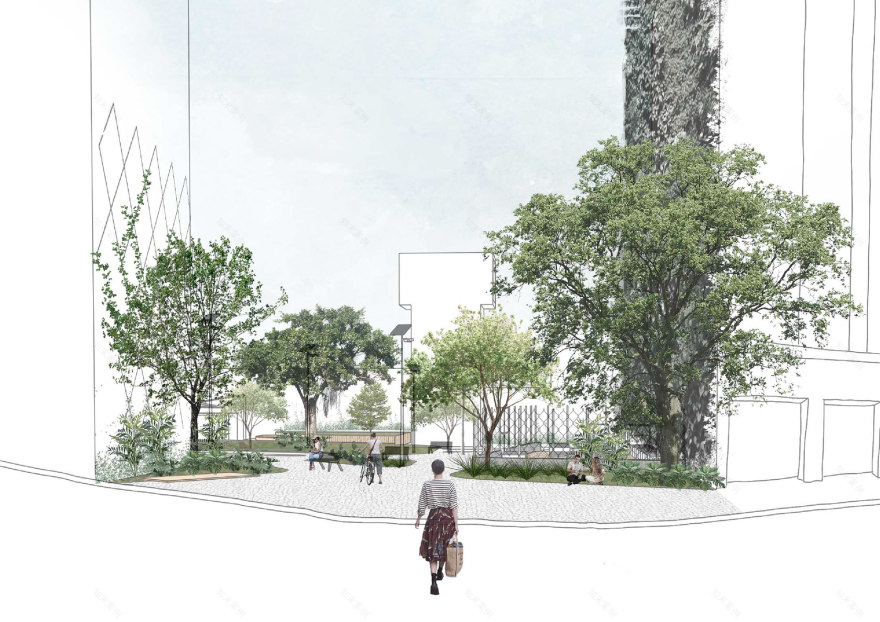 城市生物群丨巴西圣保罗-19