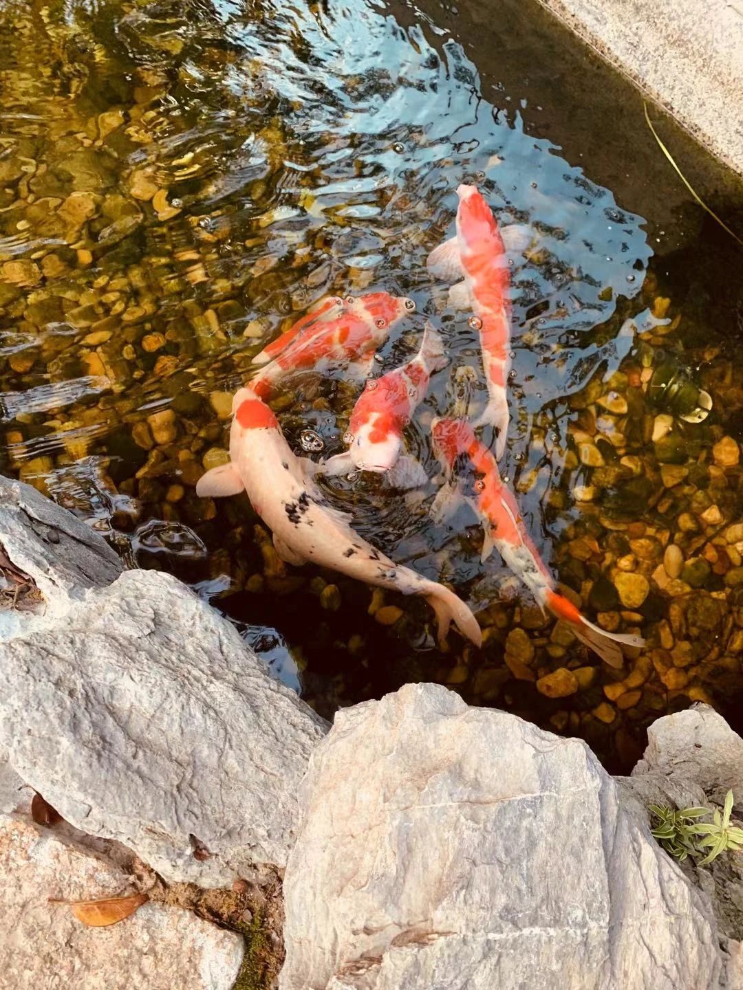 萧氏设计办公楼丨中国上海丨萧爱彬设计-37