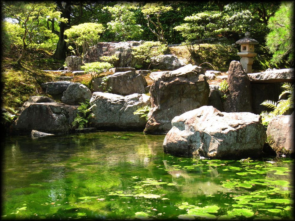 桂离宫天橋立庭園丨日本京都-35