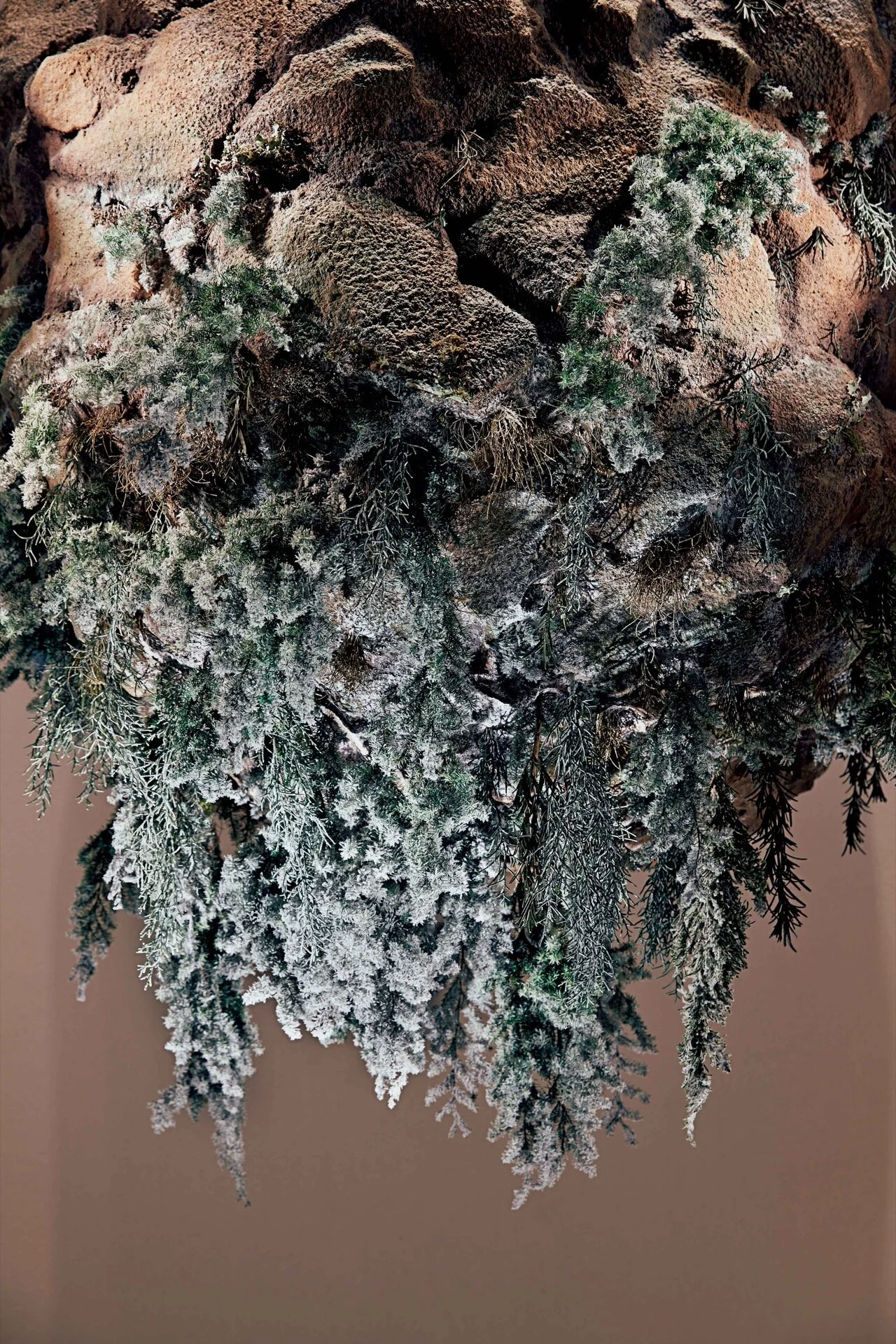 fUTUREMUSEUM - 質物霽畫 BOTANIPLAN VON LEE CHI  -6