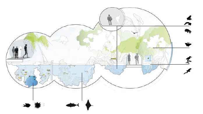 瑞士巴塞尔海洋水族馆 · 融入城市景观的壮观海洋之旅-21