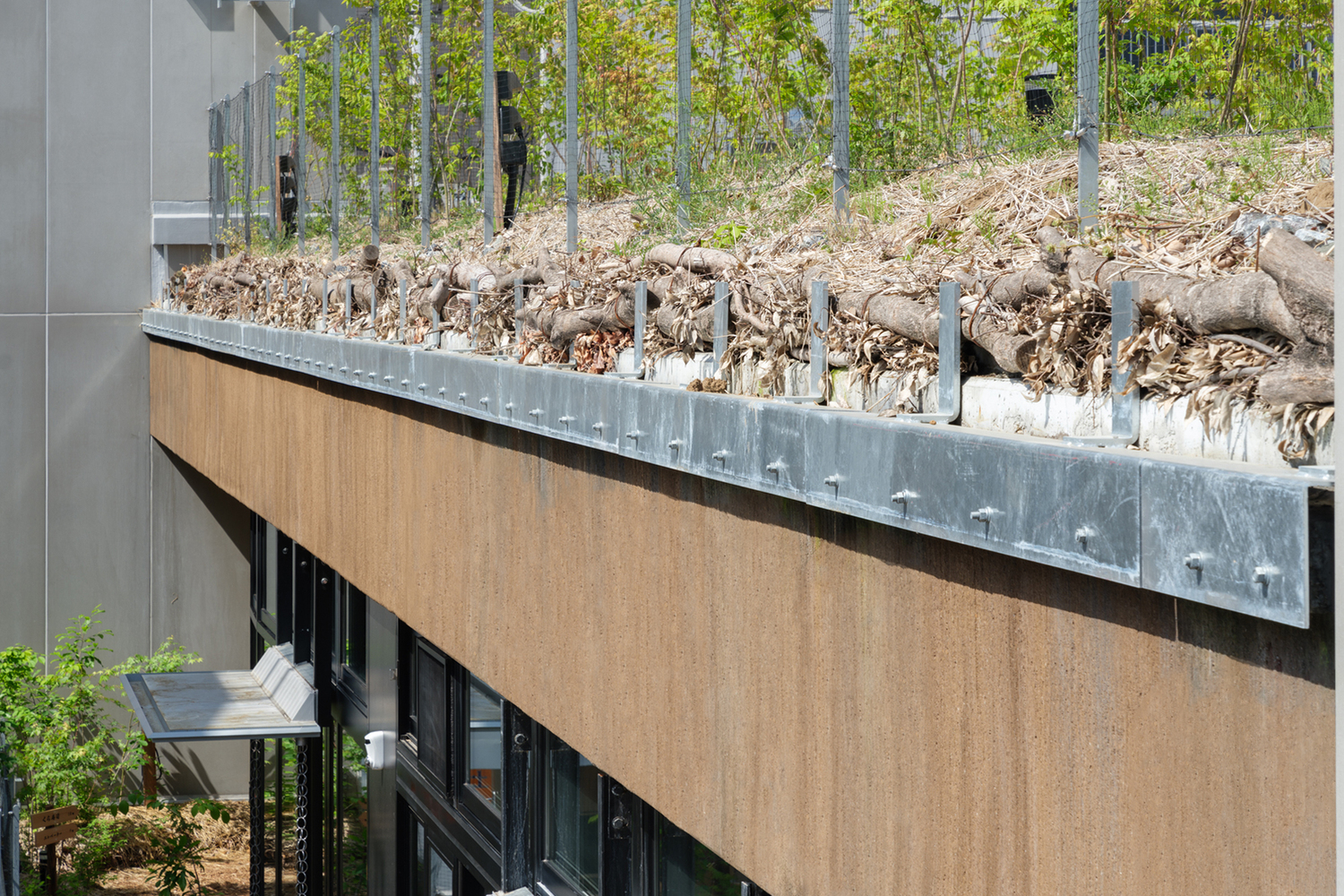 日本 Keystone 森林商业建筑丨日本东京丨Nori 建筑事务所+高田景观设计公司-18