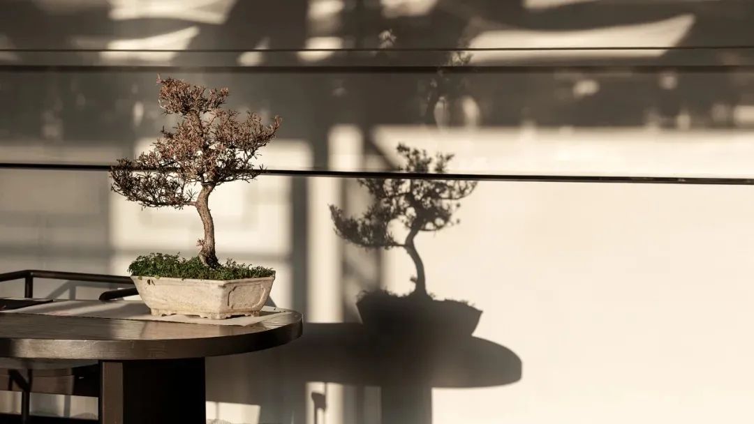 翁暖茶馆丨中国广州丨TTD广州本至设计事务所-26