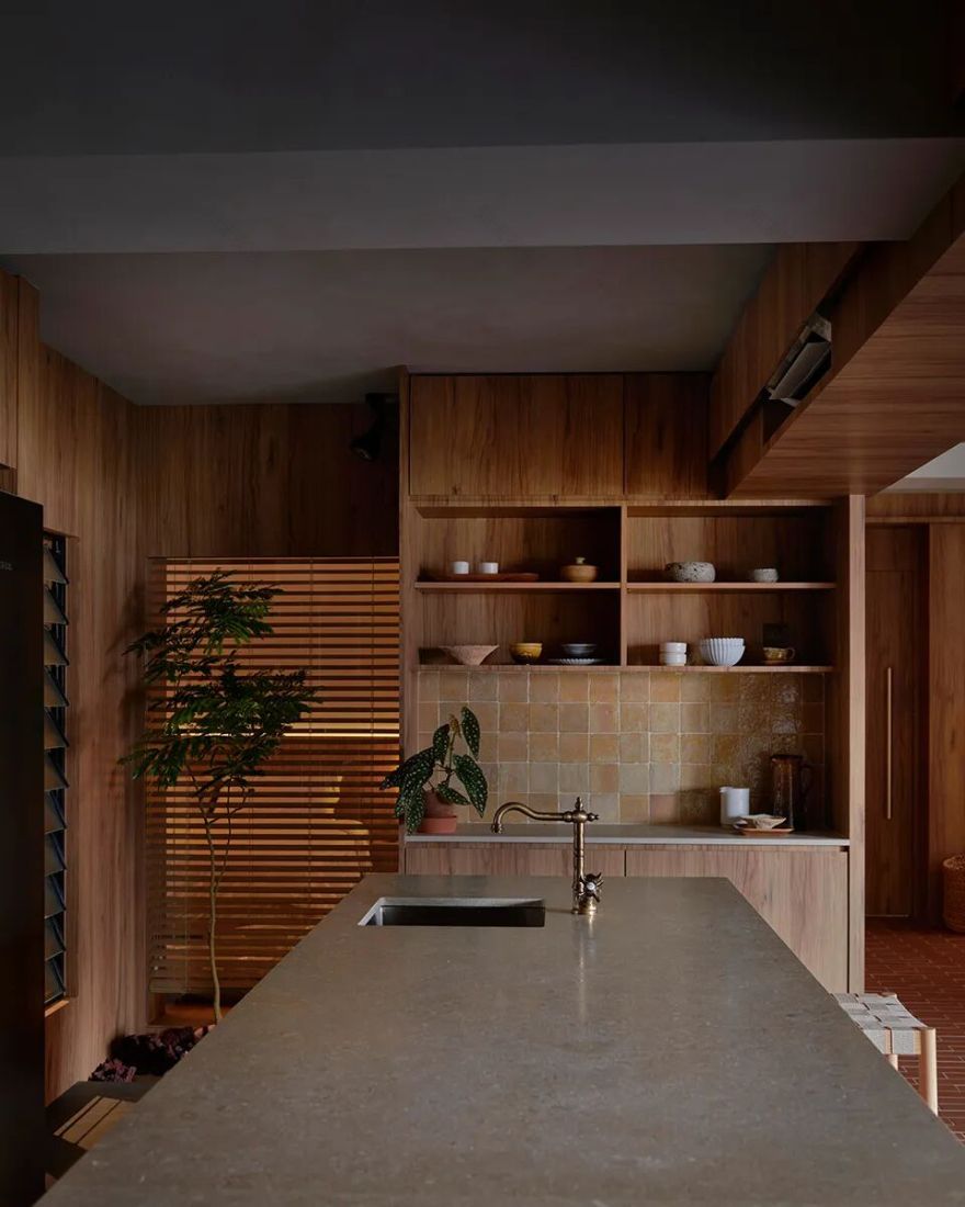 充满生命力的“公园里的家”-19