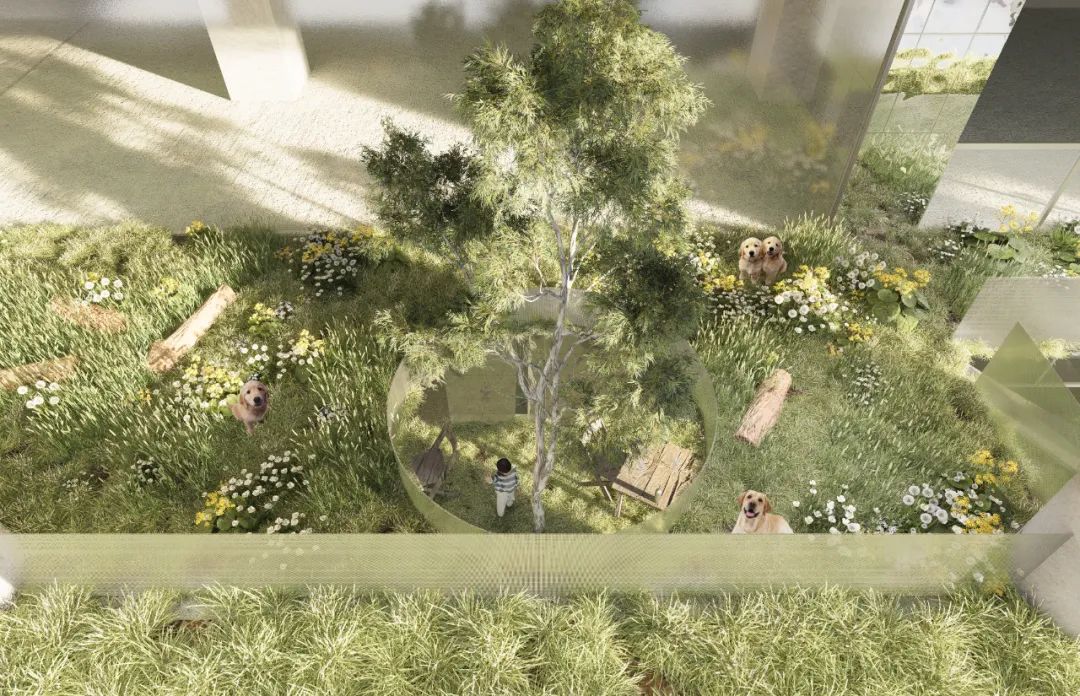 清华建筑毕设“四次元口袋”：聚焦人宠细腻情绪的互动体验空间！“建筑材料转译自然+交互装置植入空间”塑造垂直向度人宠空间戏剧发生体-165