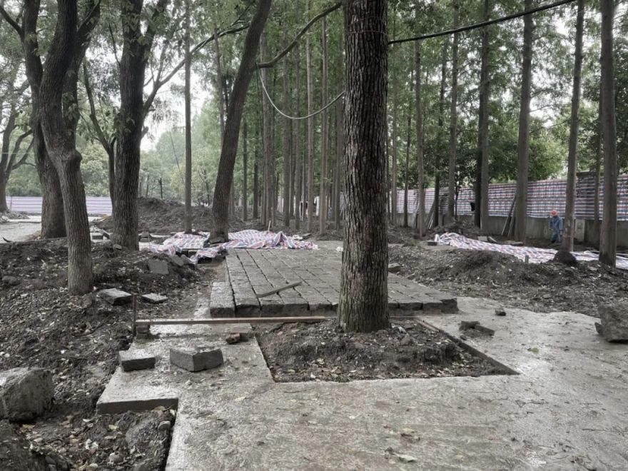 中国园林·理事专栏|“拓”之力量:杨浦公园改造纪实(三)-268
