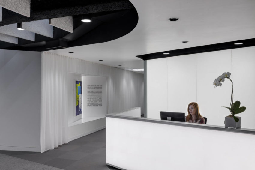 Flexible and brand new Intarcia Offices created by ACTWO to take advantage of light and highlight art in the workplace 由AC2创建的灵活且全新的INARCIA办公室，利用灯光和突出艺术在工作场所中的优势-8