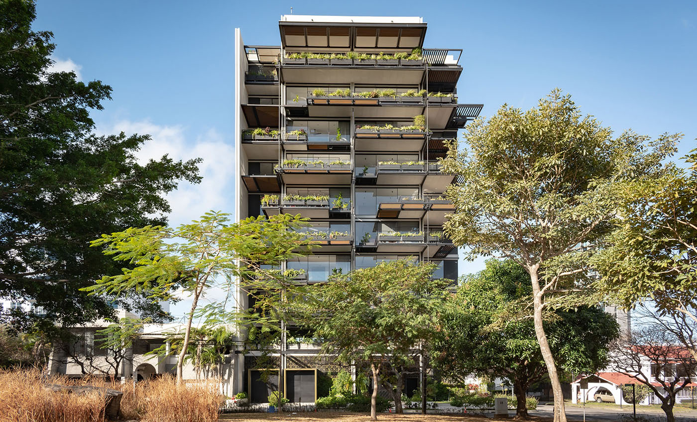 栀子丨哥斯达黎加圣何塞丨Studio Saxe-51