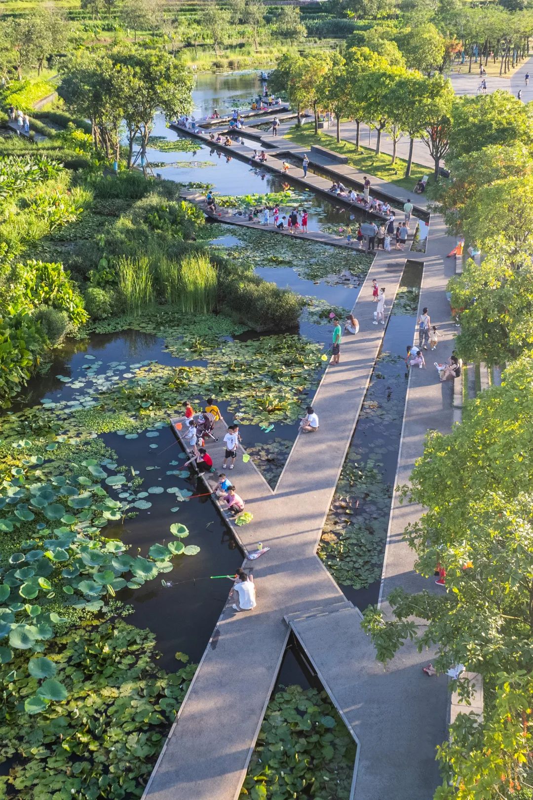 海口市美舍河凤翔湿地公园丨中国海口丨土人设计-39