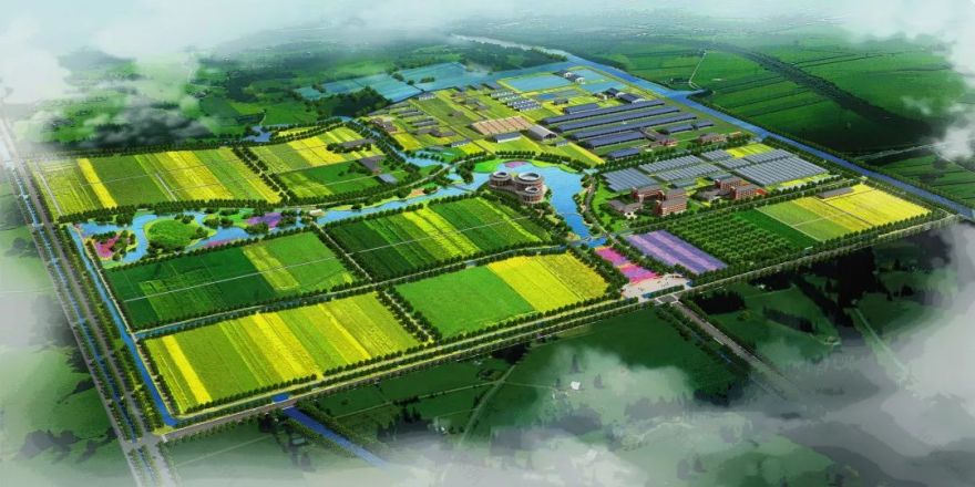 上海市农业科学研究院奉浦院区丨中国上海丨亦境建筑景观-32