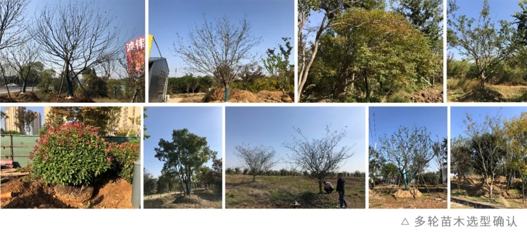 南京弘阳·栖尧美著丨中国南京丨上海魏玛景观规划设计有限公司-55