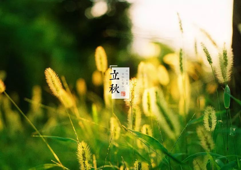 佳源帝都温泉山庄 | 四季与空间共舞,品味生活美学-38