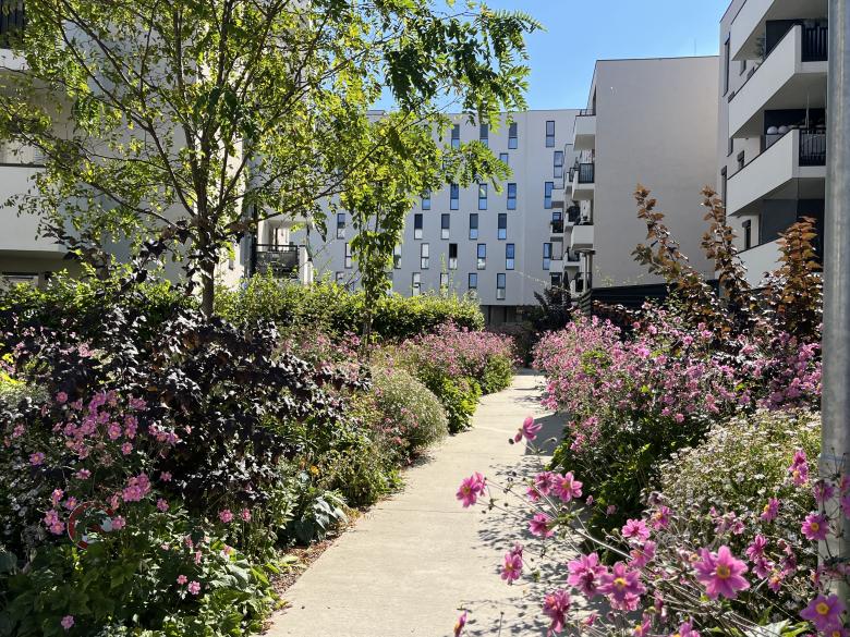 Karin Standler Landschaftsarchitektur丨Wohnpark Csokorgasse丨奥地利-4