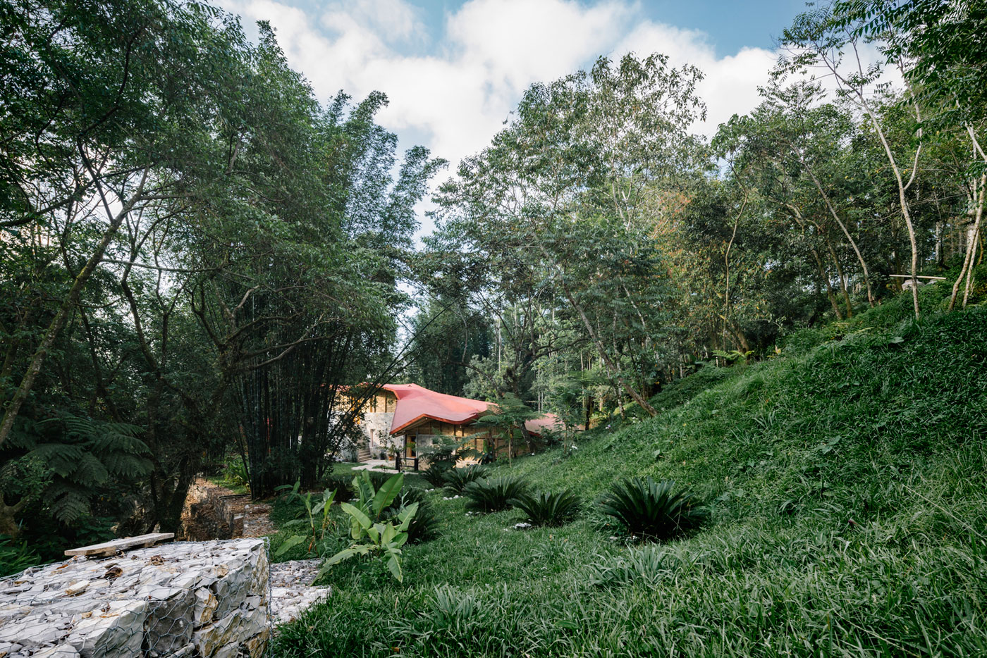 Tourist Hostel designed by Proyecto Cafeína in the Cty of Puebla in Mexico-5