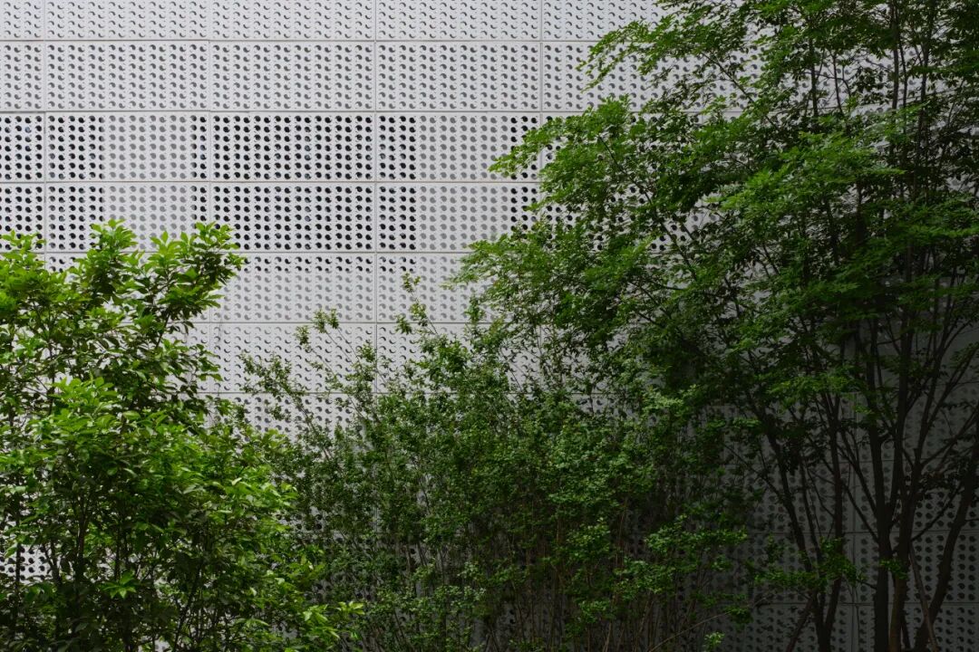 AATU分享|一个时尚·传承的中医医院新范式——邛崃市中医医院-130