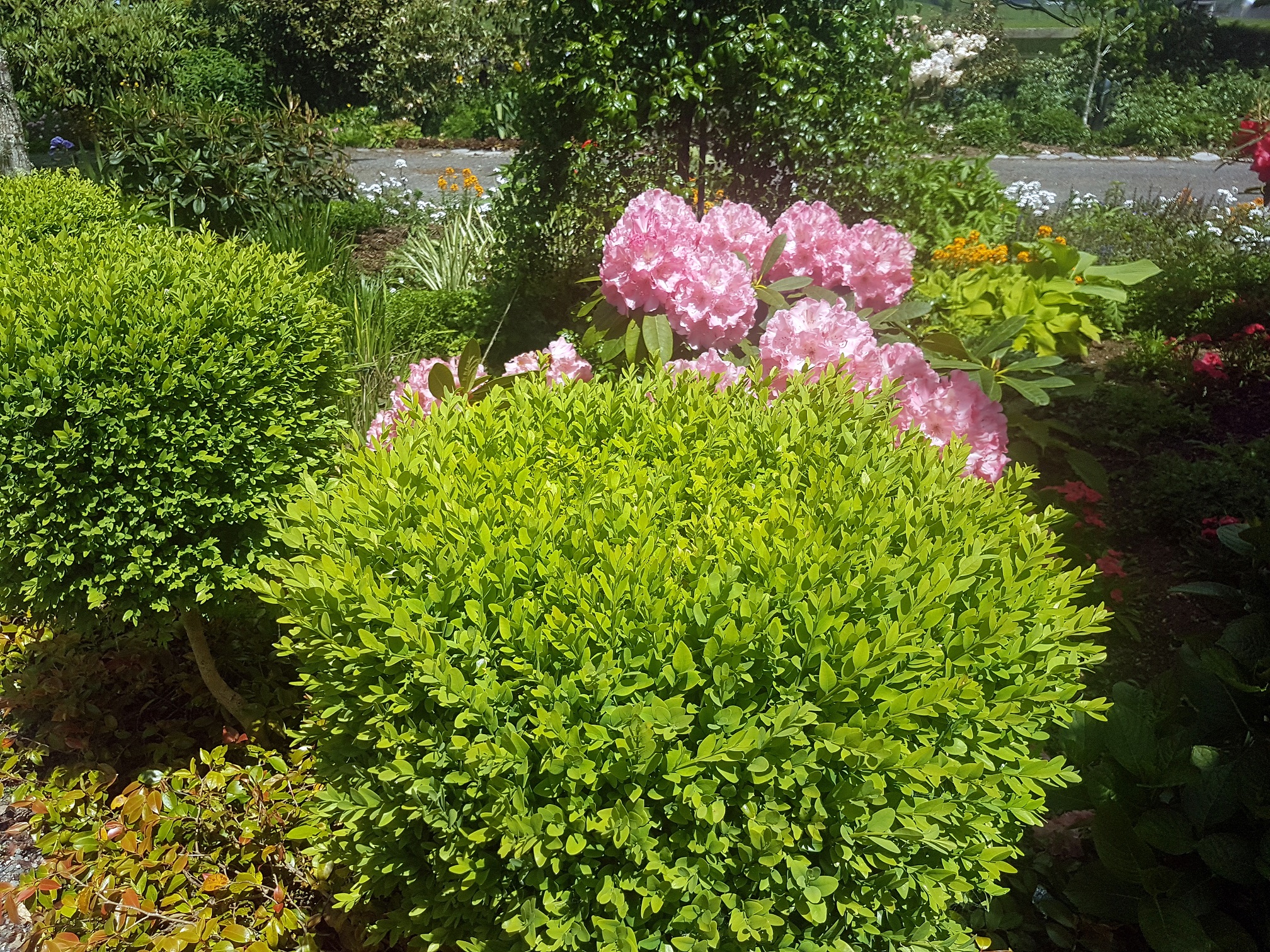 Cairnhill私人花园-25